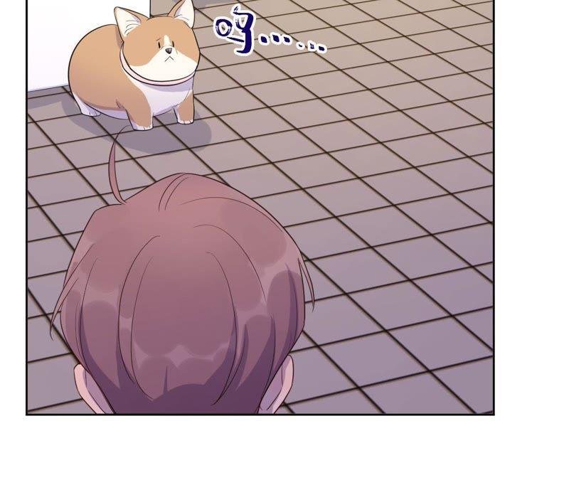 第81话 条件置换