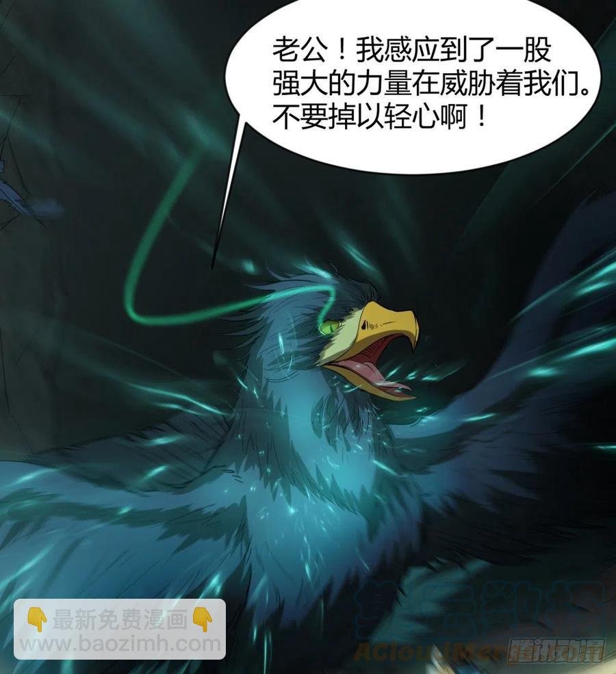 雕儿不怕，我不是过儿~