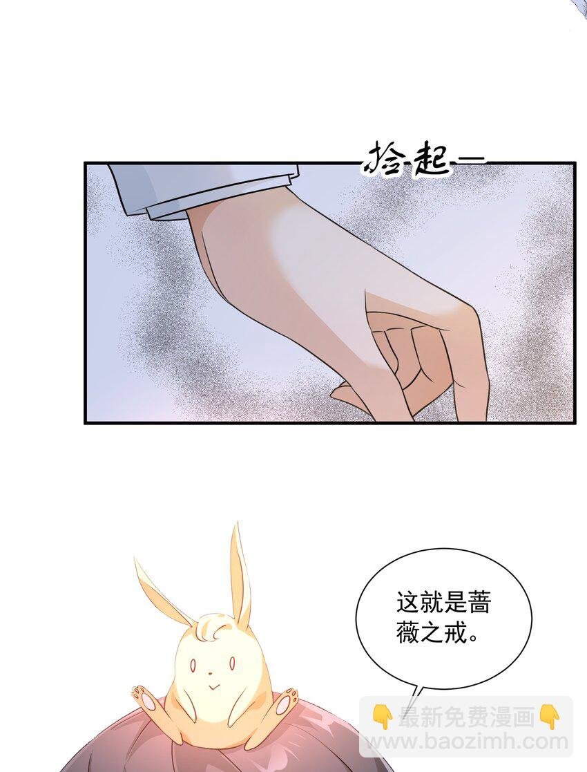 057 蔷薇之戒