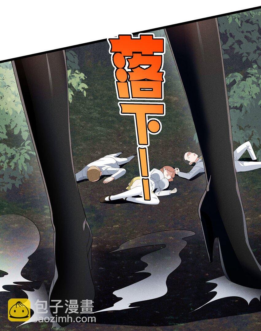 87 逗猫