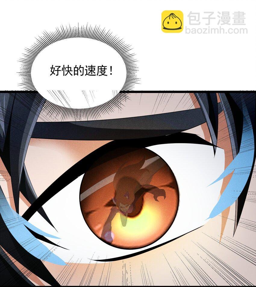 87 逗猫