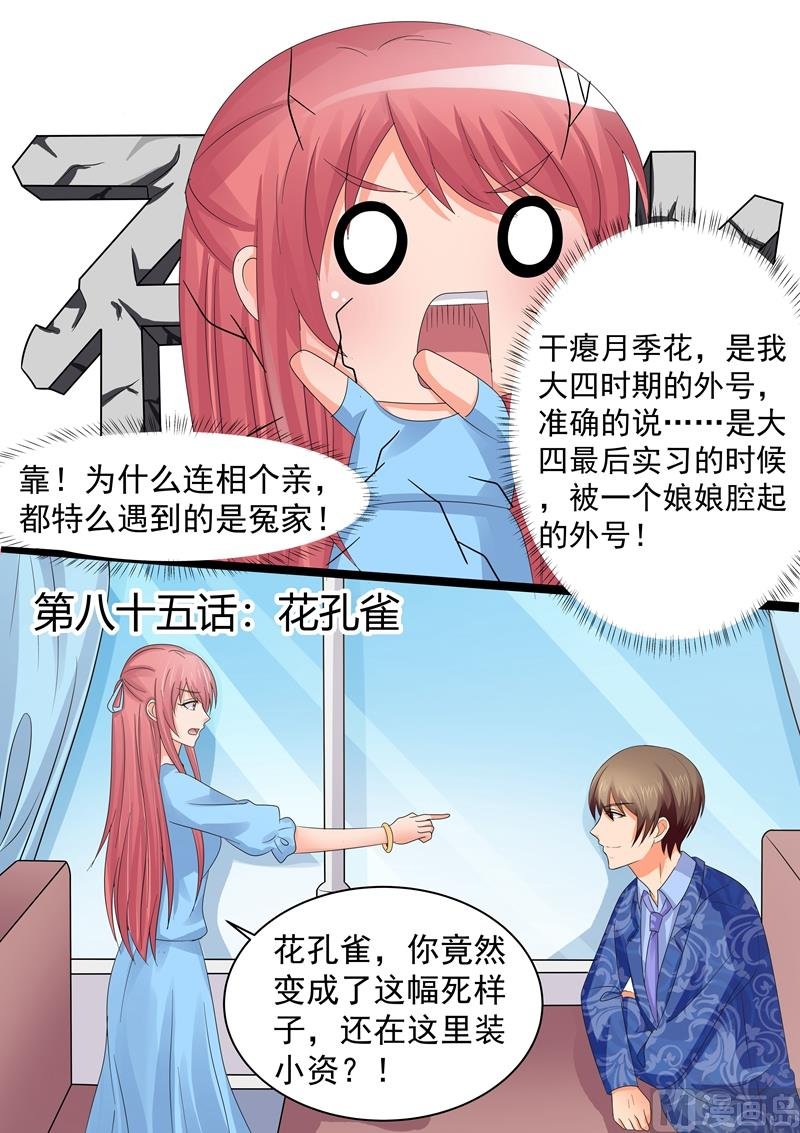 第85话：花孔雀