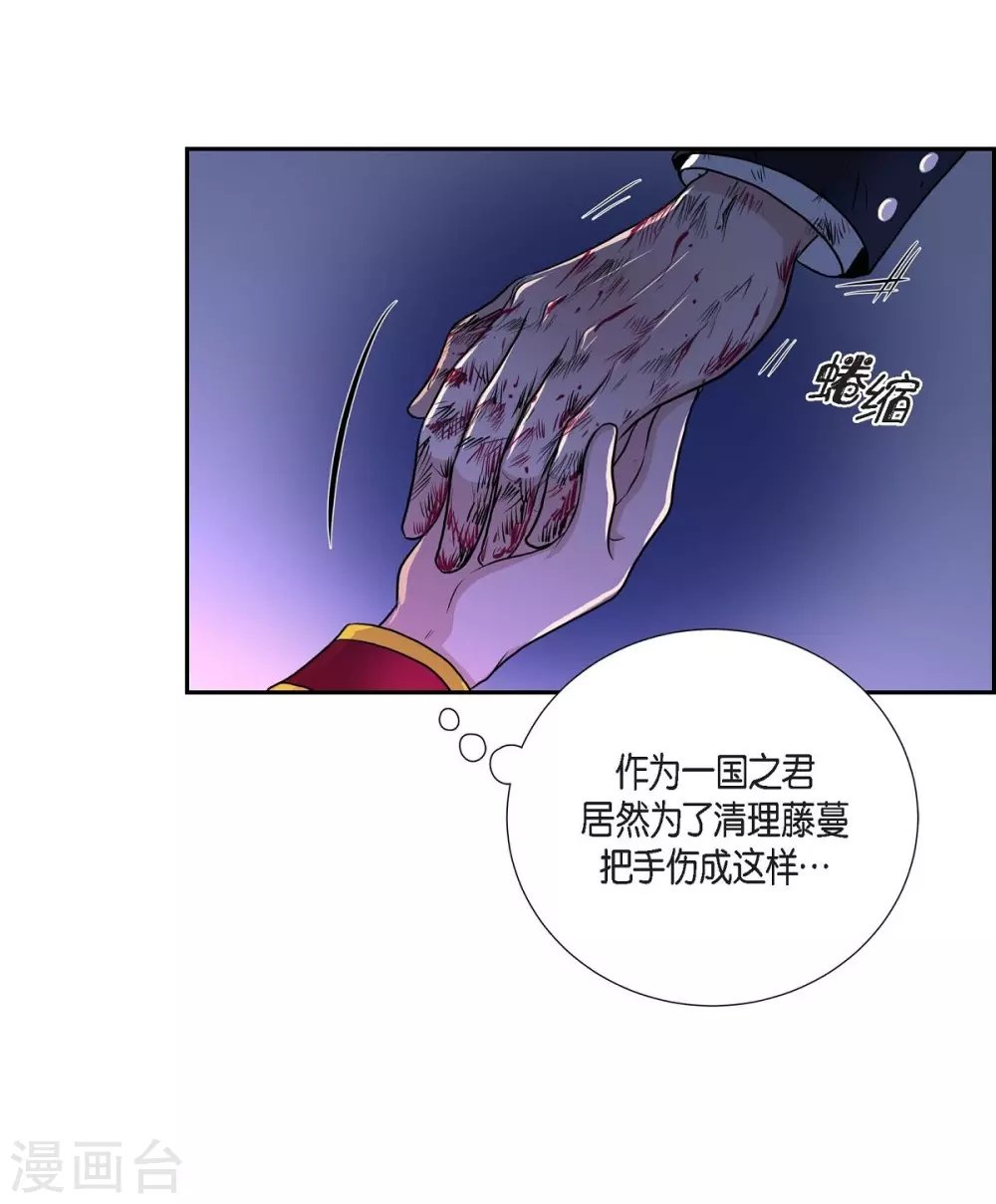 第49话 自作多情
