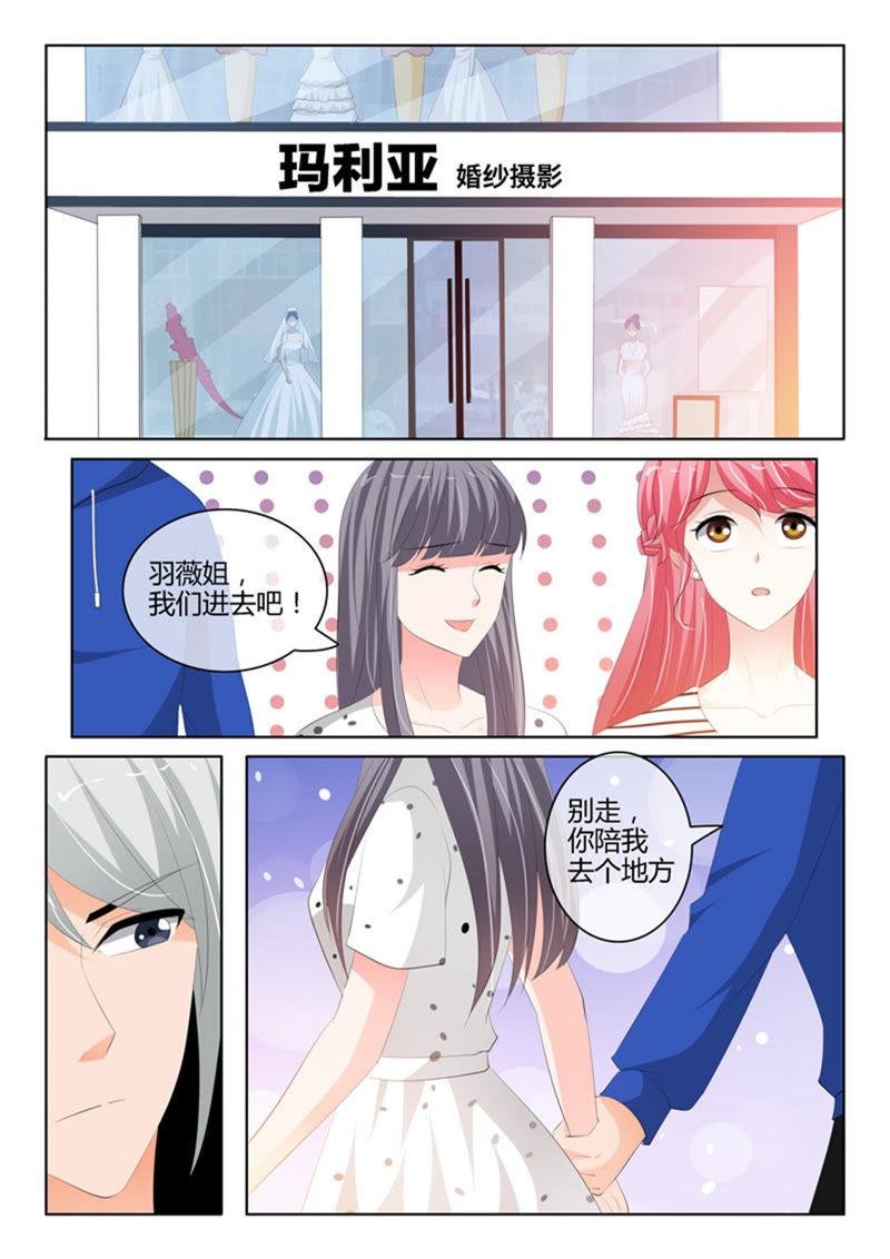 第230话