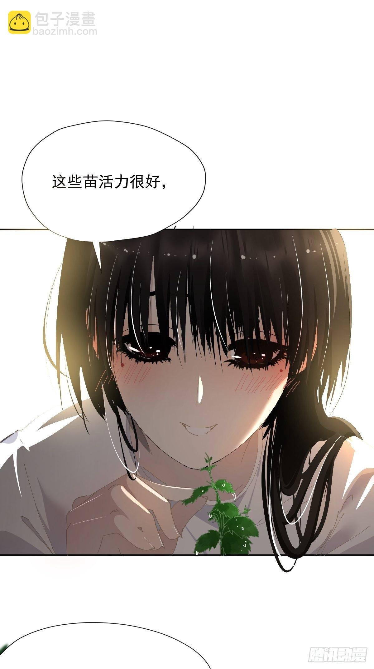 49.卡罗拉