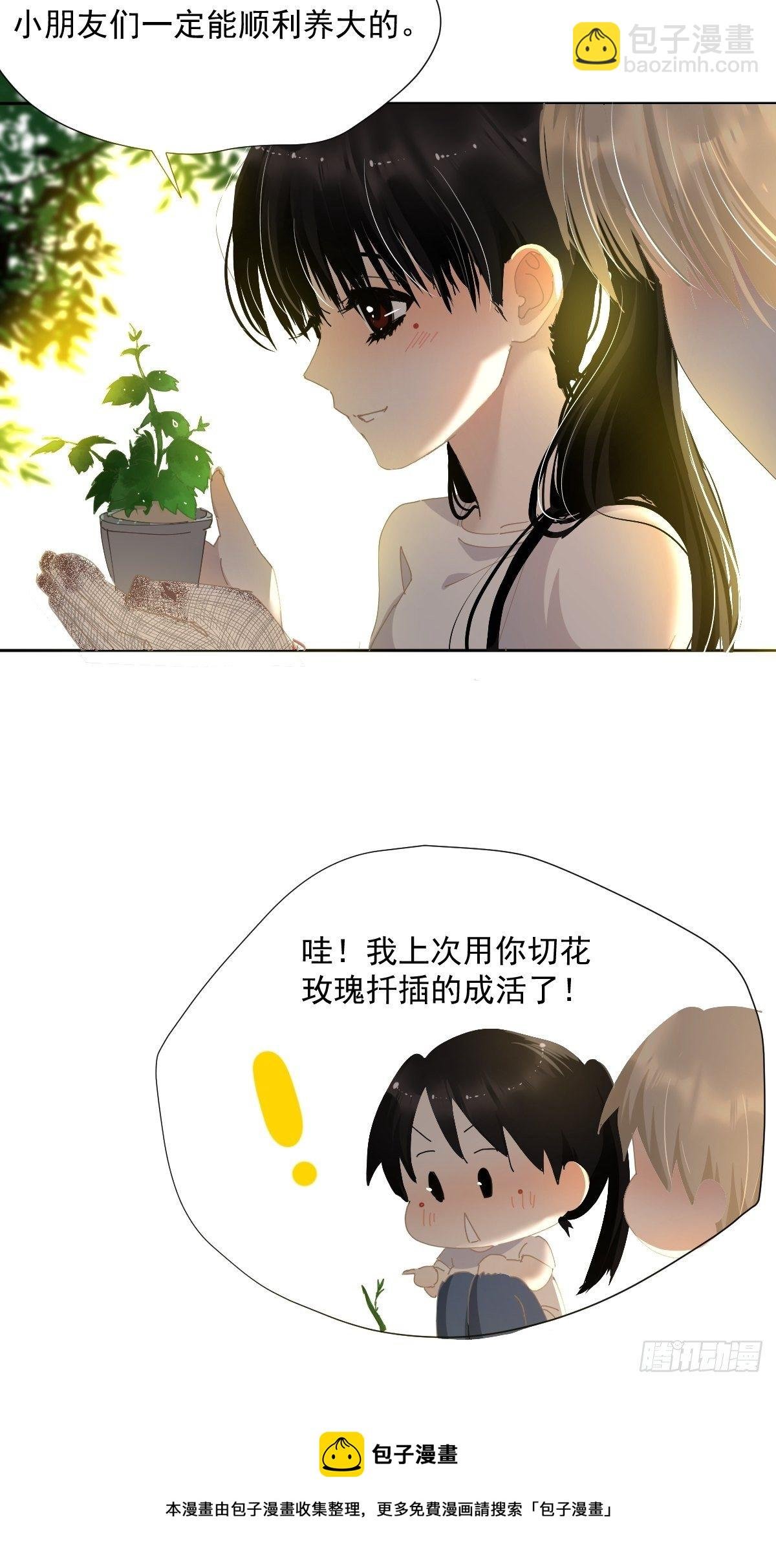49.卡罗拉