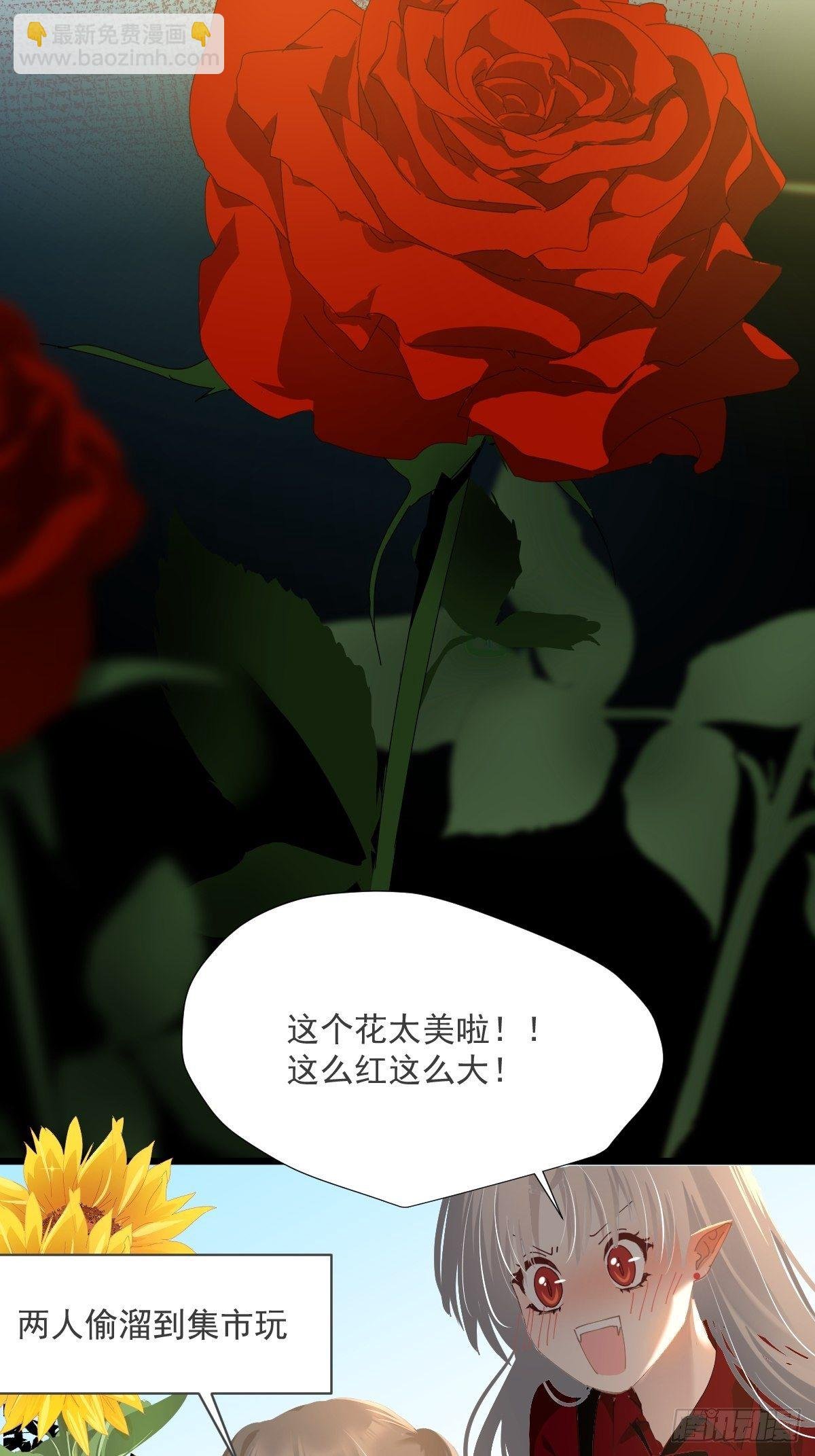 49.卡罗拉