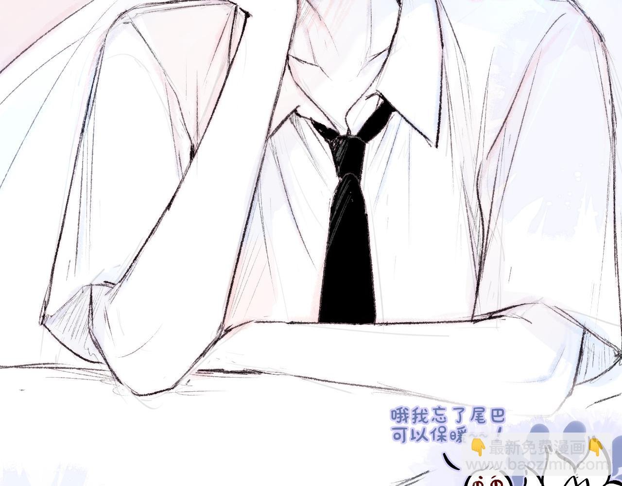 小剧场：狐狸诞生日记