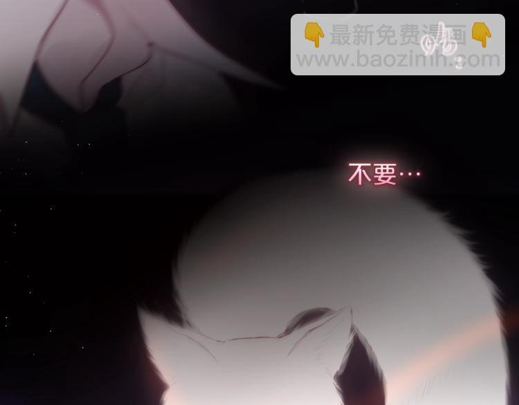 第1话 狐狸劫