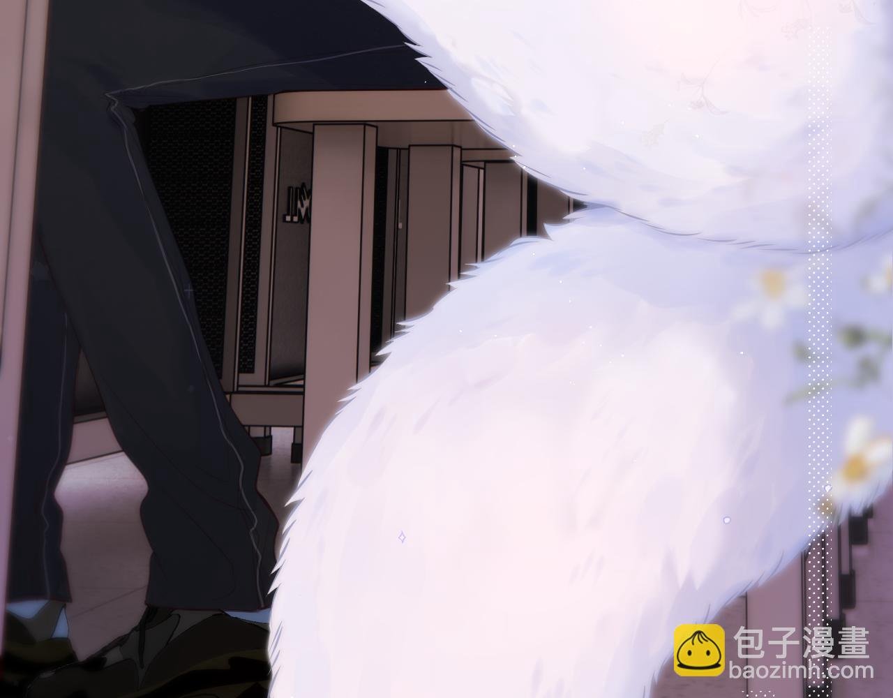 第35话 小猫咪