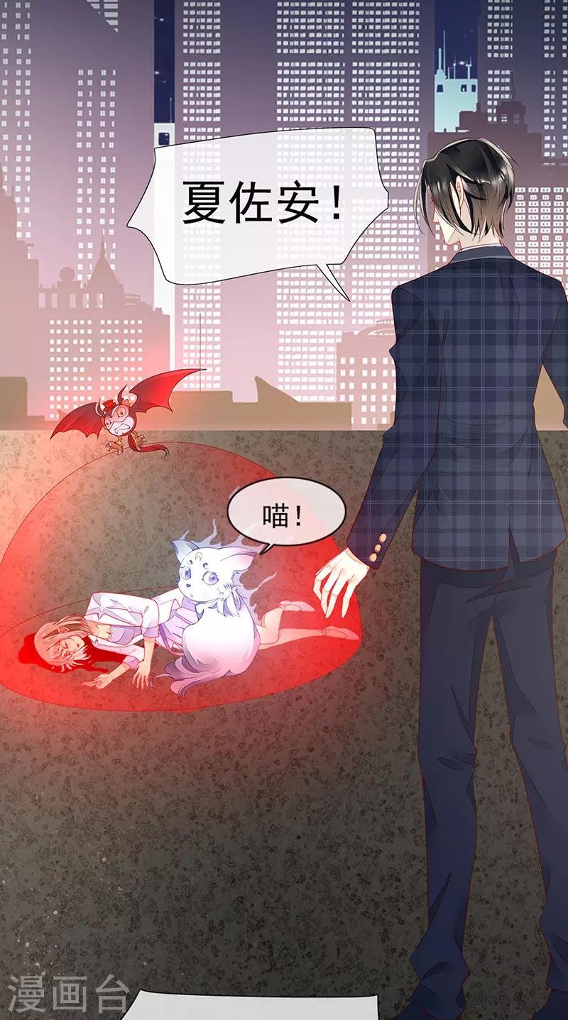 第24话 车祸！血宠？