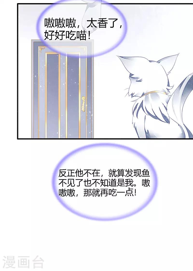 第25话 血宠梦梦卖萌