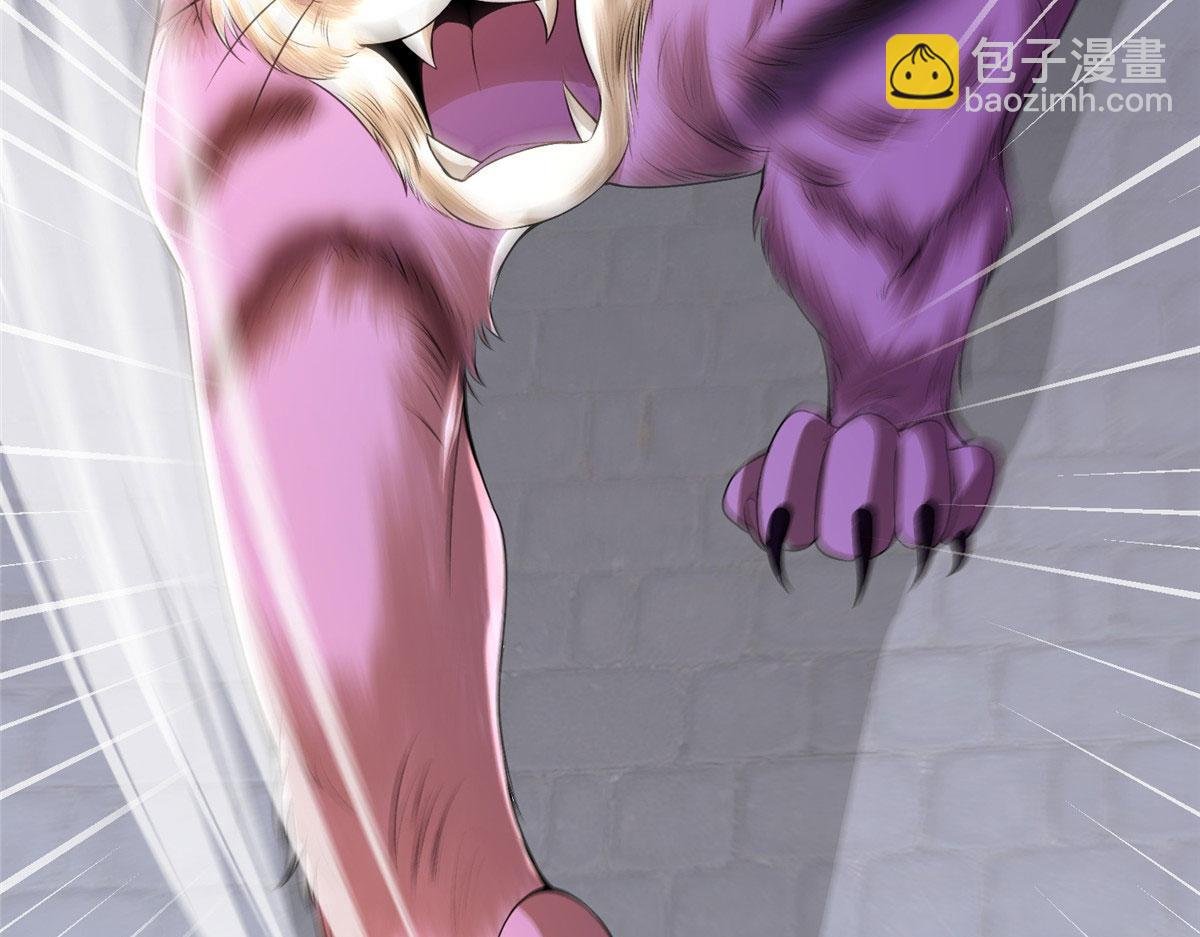 07 惊艳人间小狐狸