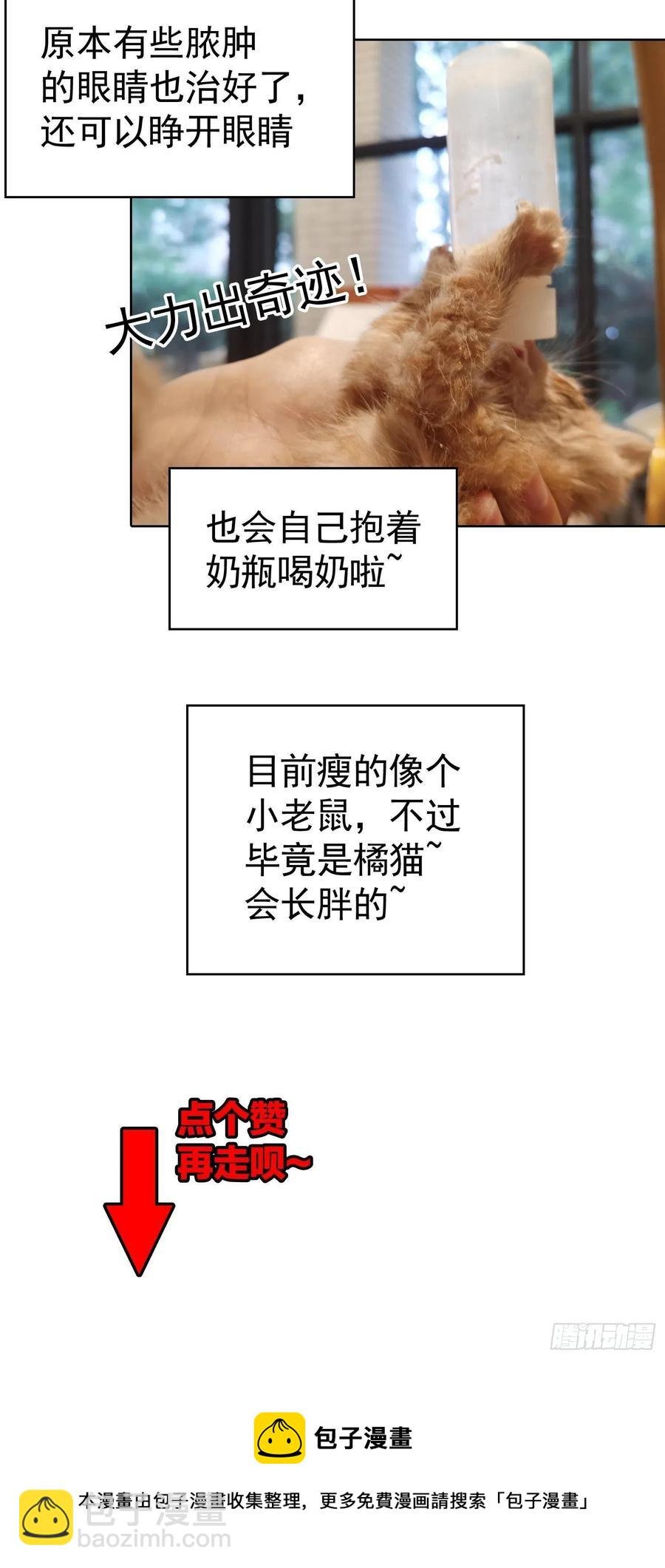 42 我才没有害怕呢！
