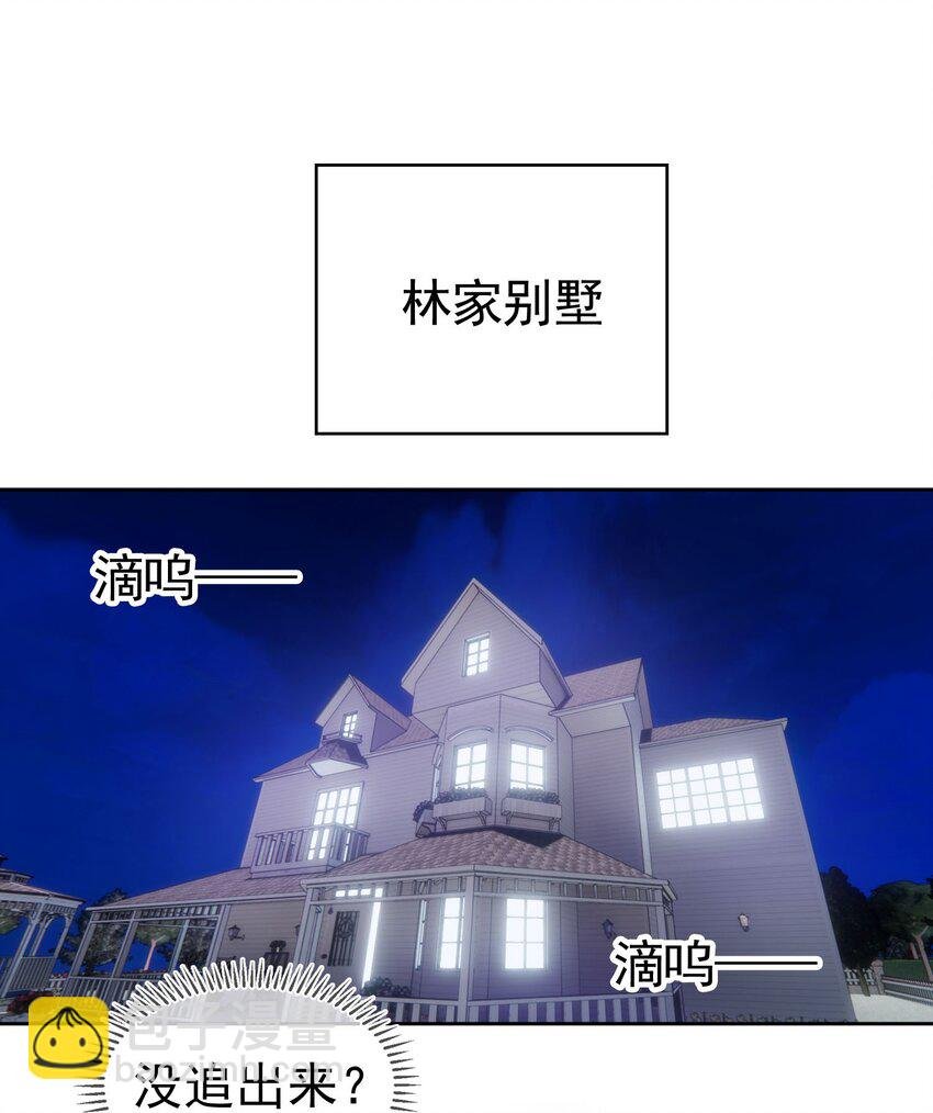 85 对月思春的野猫