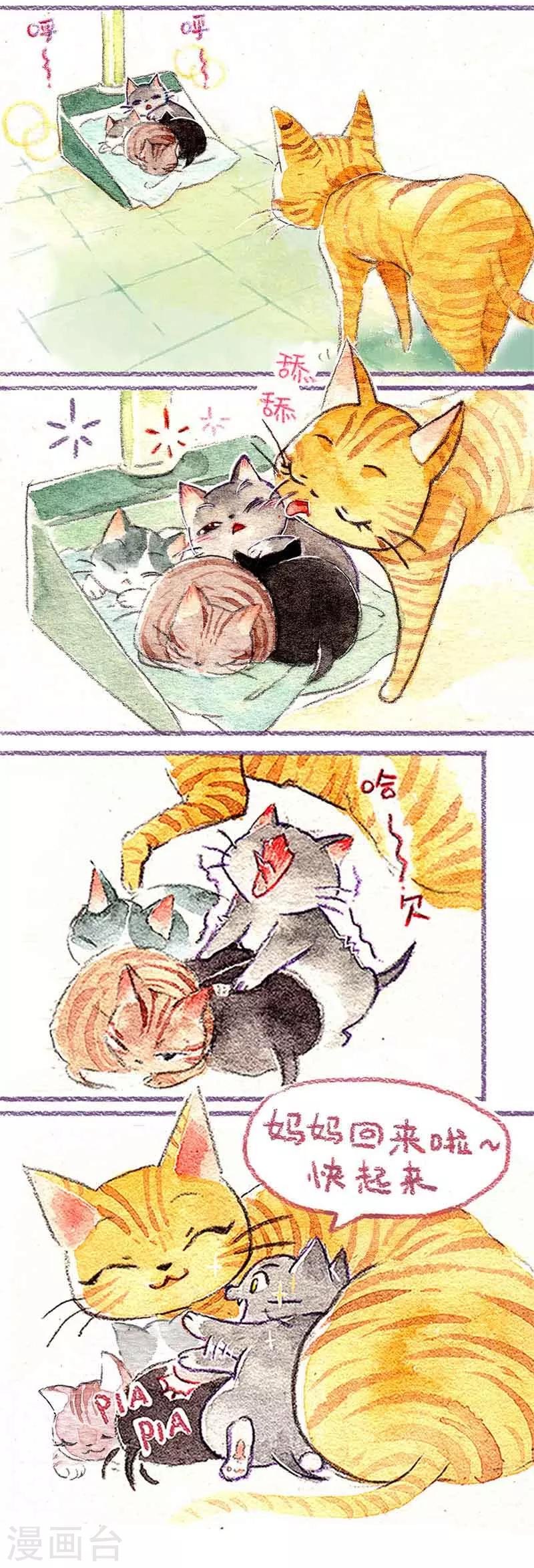 第1话 小猫怕丢