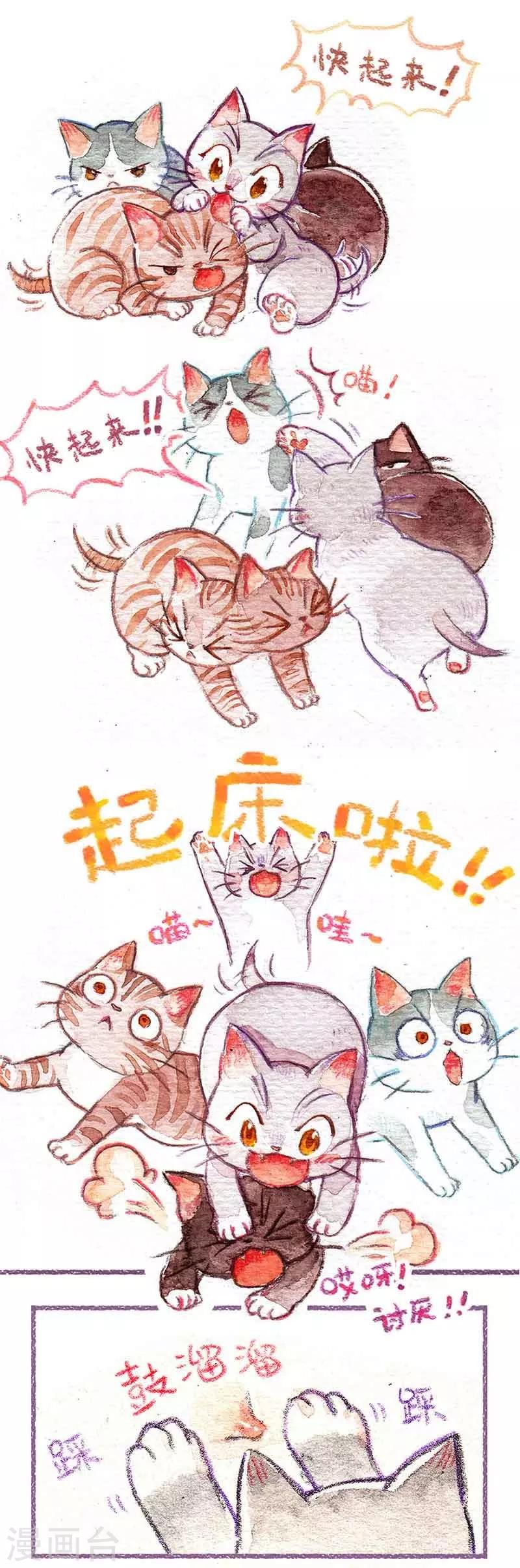 第1话 小猫怕丢