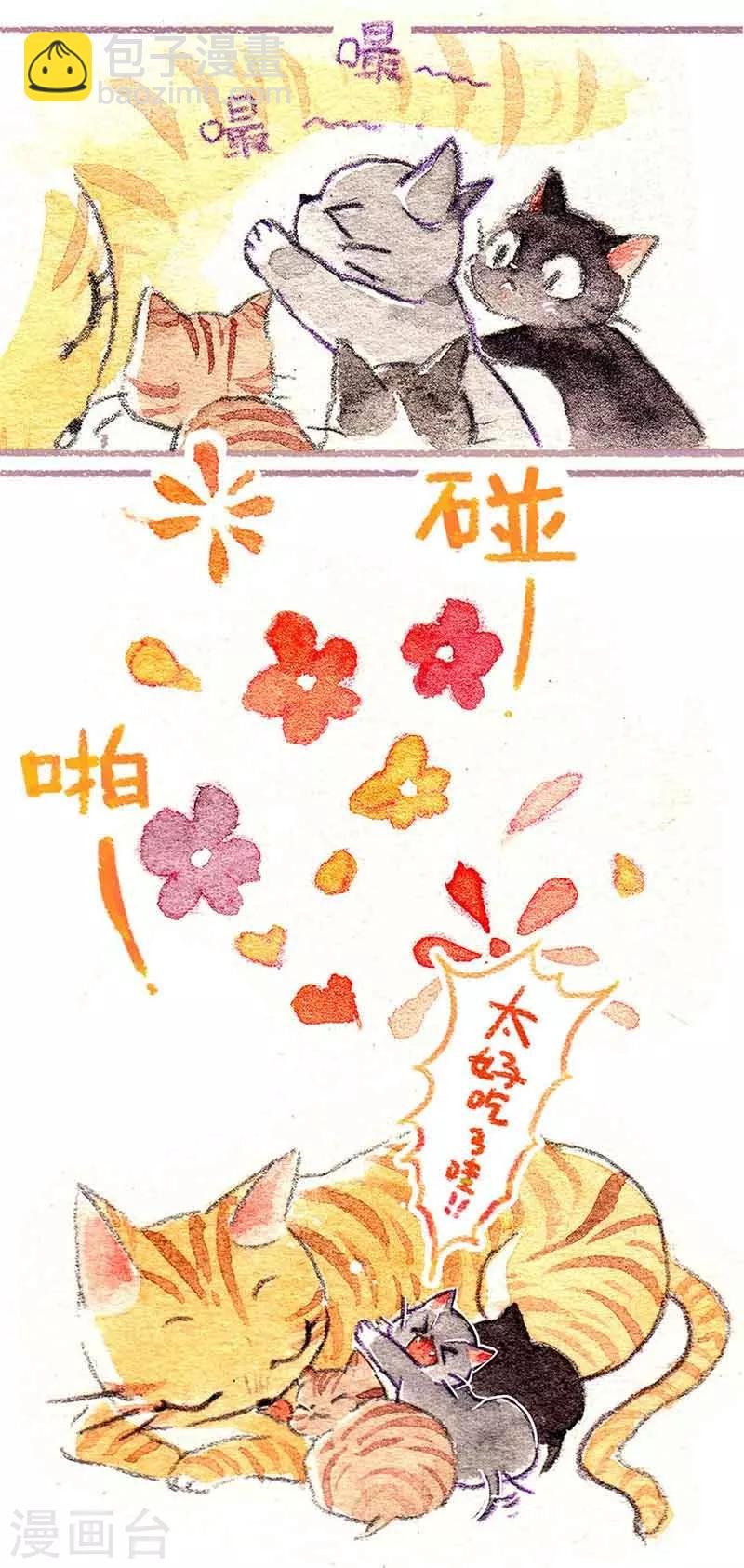 第1话 小猫怕丢
