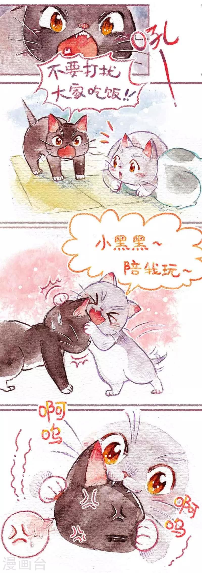 第1话 小猫怕丢