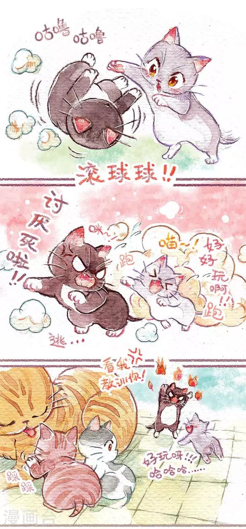 第1话 小猫怕丢