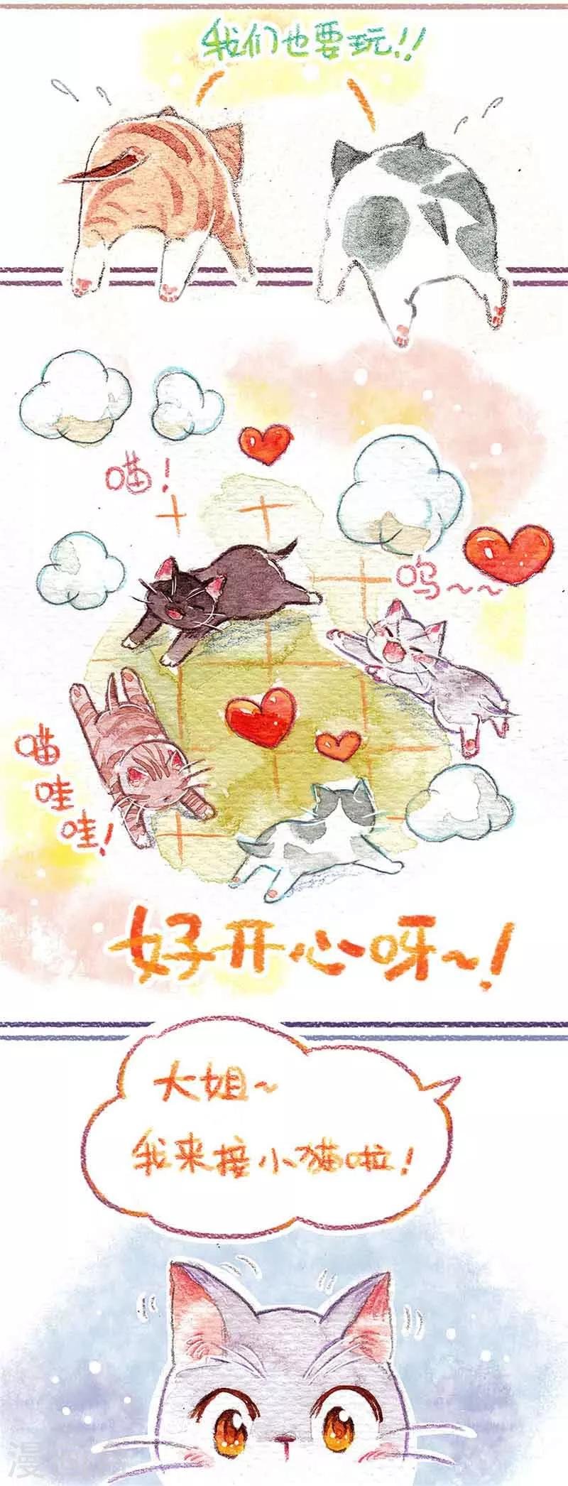 第1话 小猫怕丢