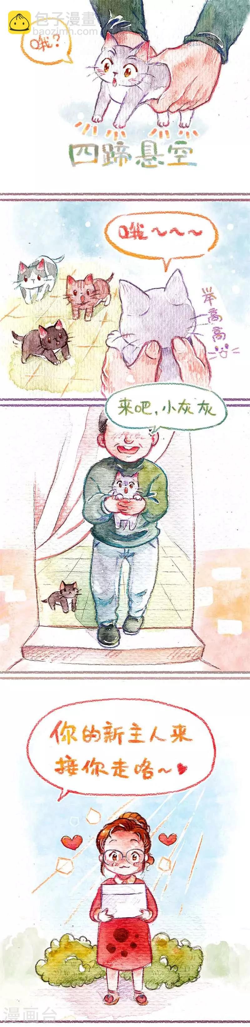 第1话 小猫怕丢
