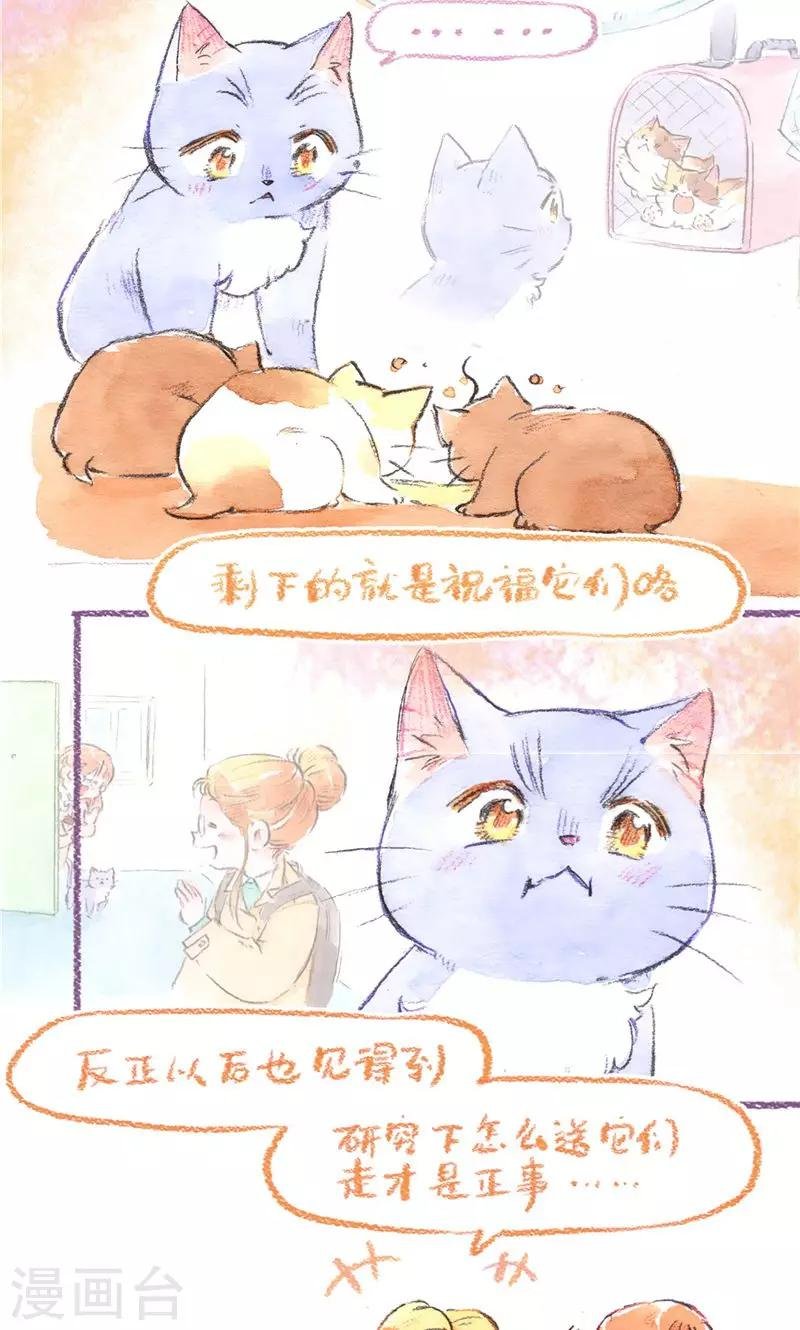 第95话 藏猫猫