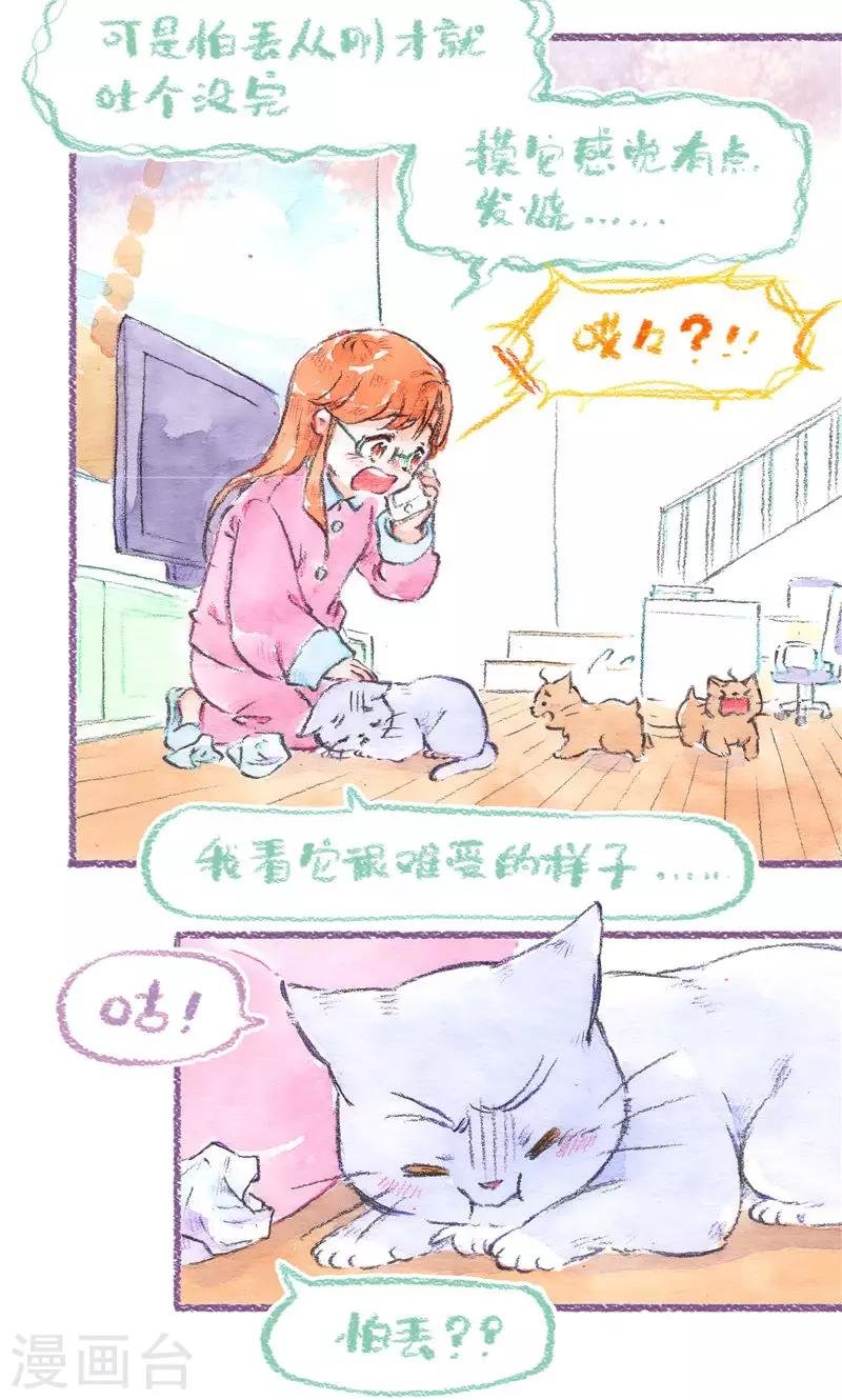 最终话 初雪