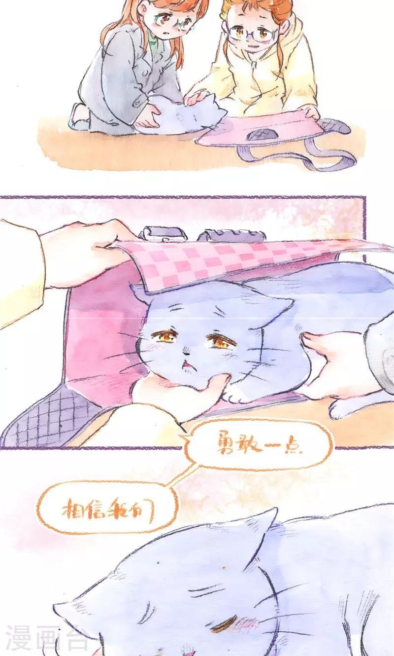 最终话 初雪