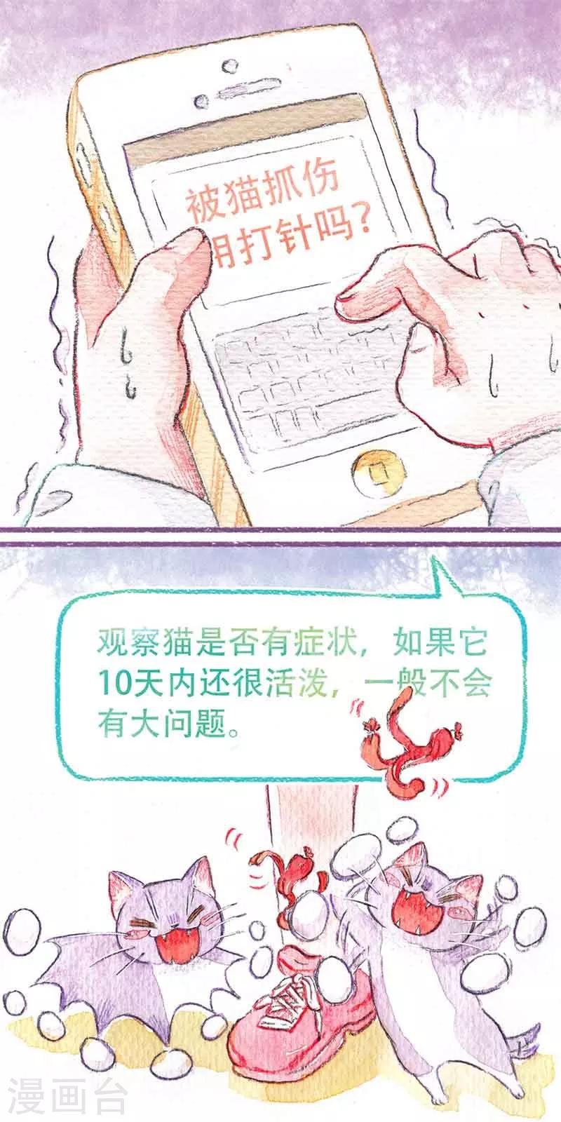 第11话 剪爪爪
