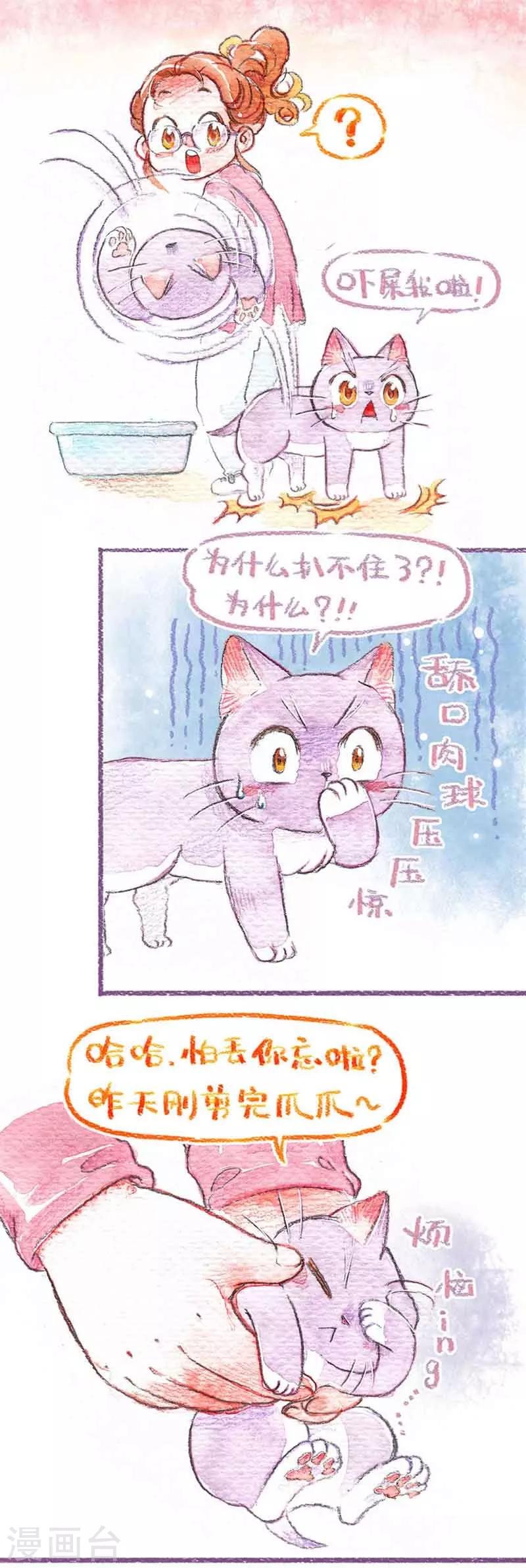 第12话 怕丢生病啦?!(1)