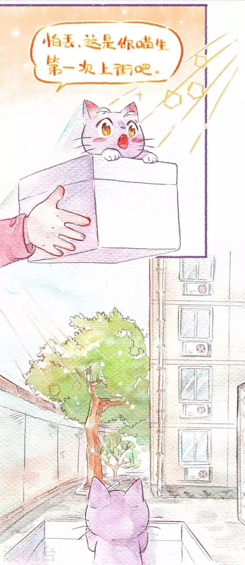 第12话 怕丢生病啦?!(1)