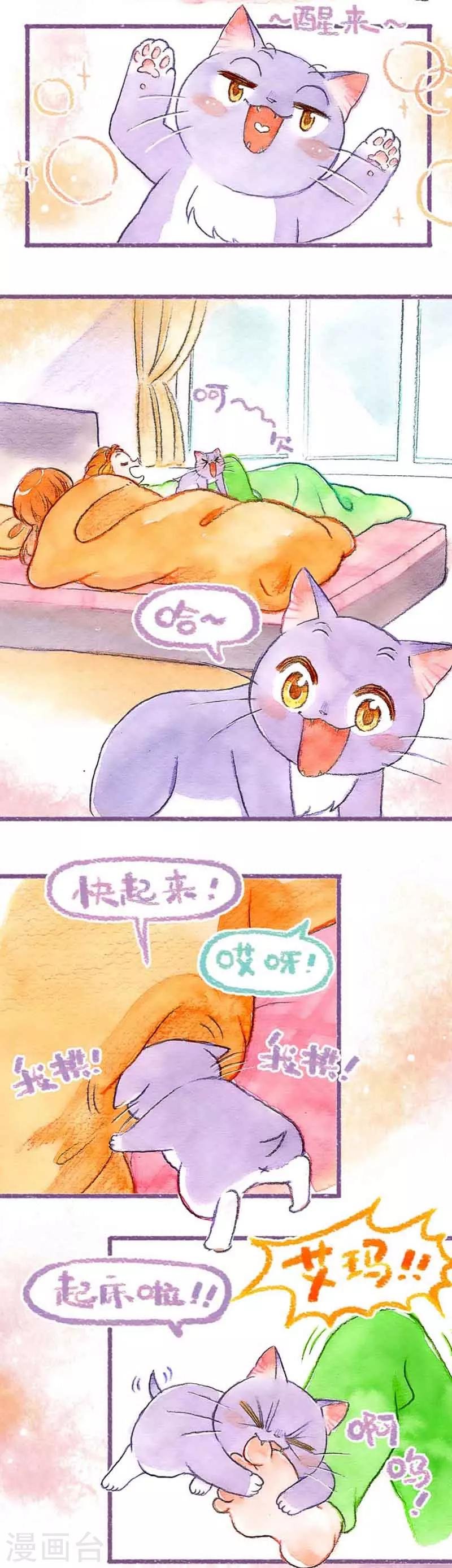 第31话 馋猫怕丢