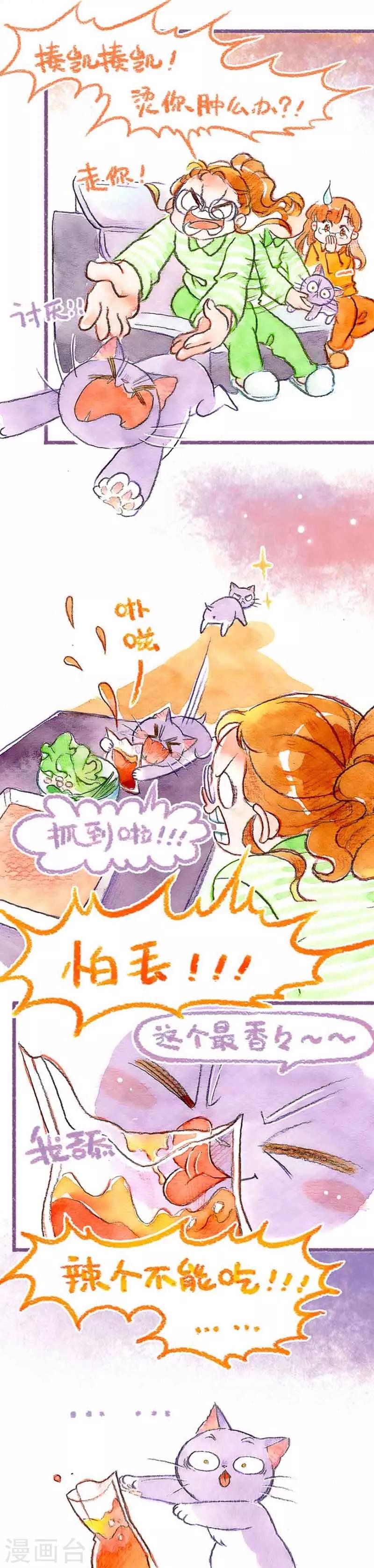 第31话 馋猫怕丢