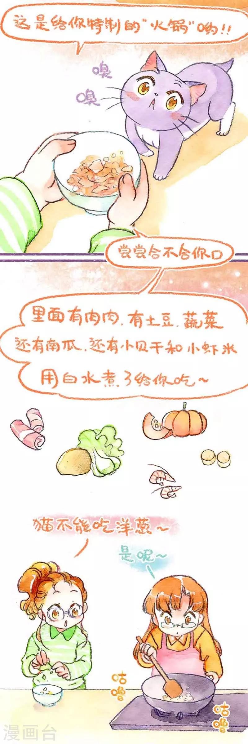 第31话 馋猫怕丢