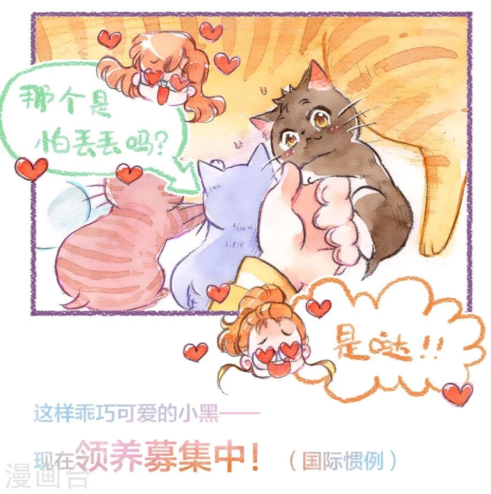 第43话 找领养（上）