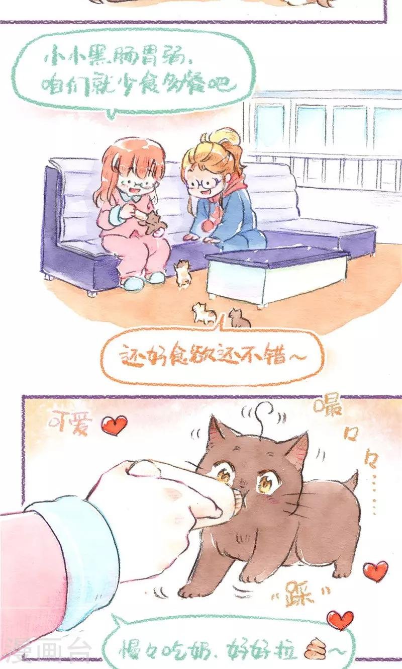 第79话 BB大作战
