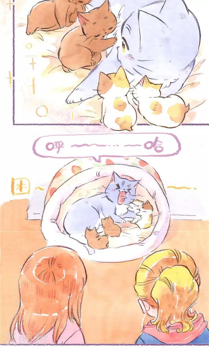 第88话 回忆与成长