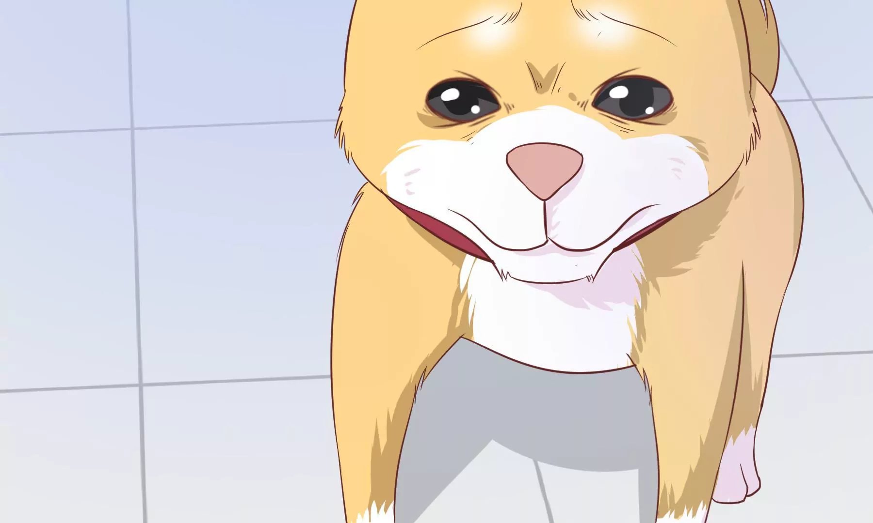 第5话 成为落跑大厨