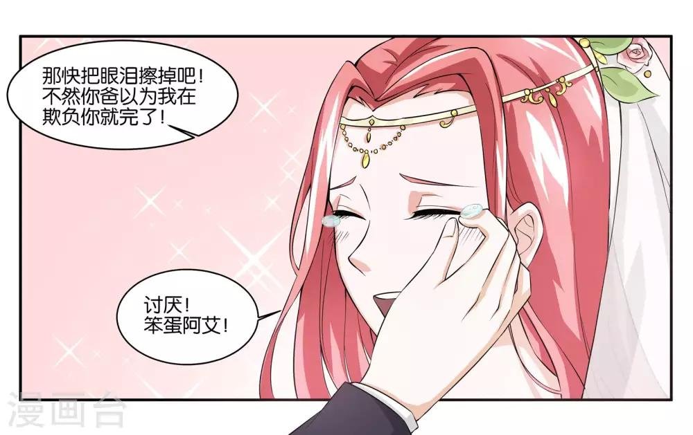 最终话 婚礼的祝福