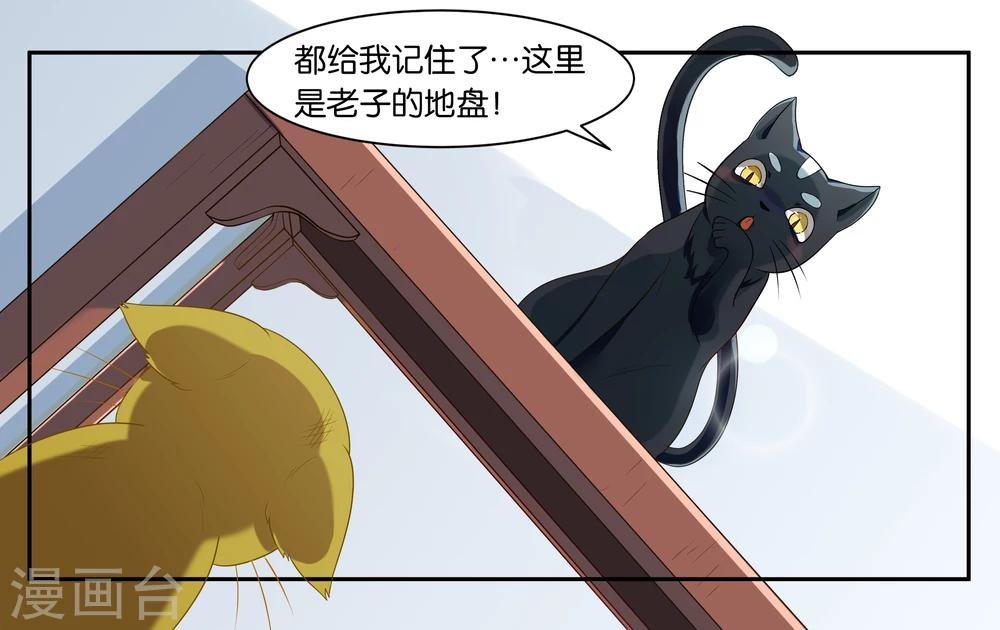 第13话 小鱼干与绿豆饼