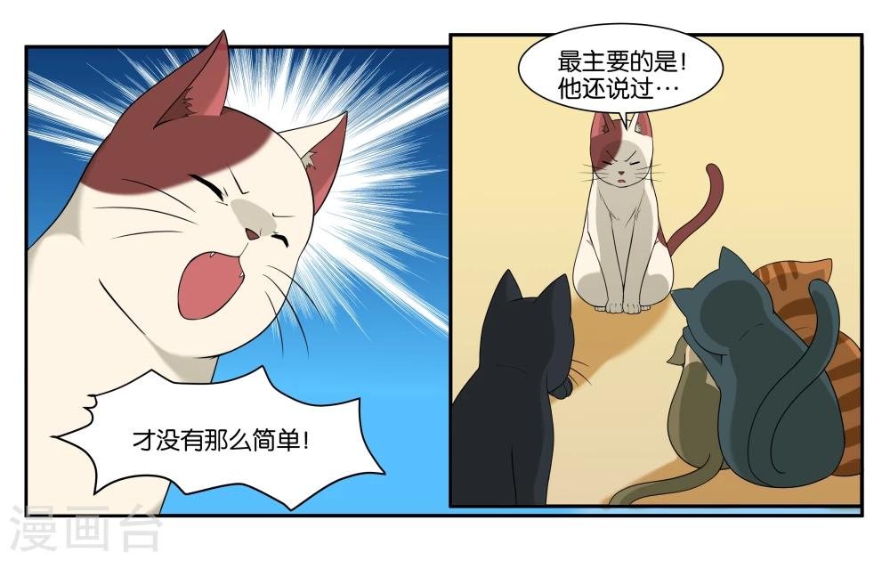 第14话 实现愿望的人
