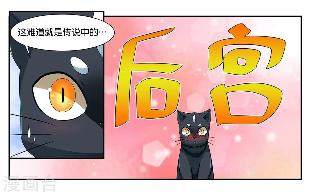 第17话 特别的眼睛