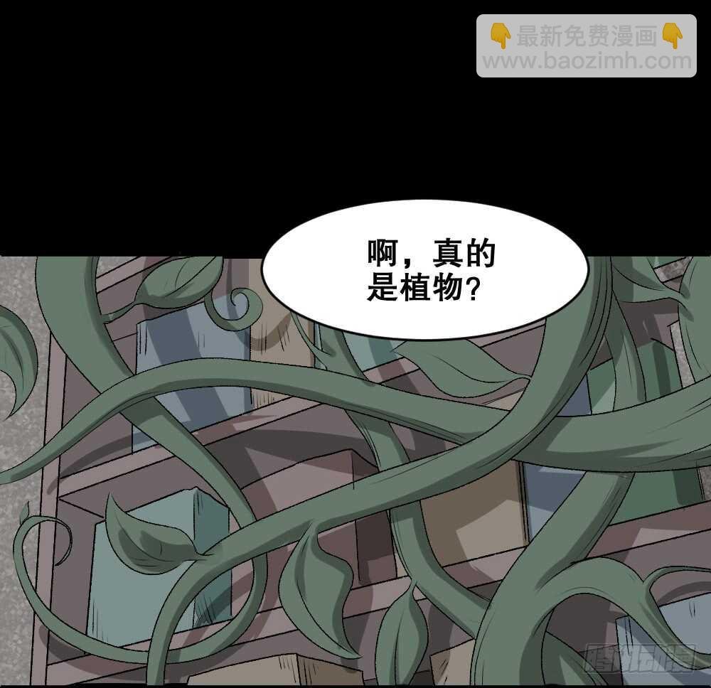 进化（1）