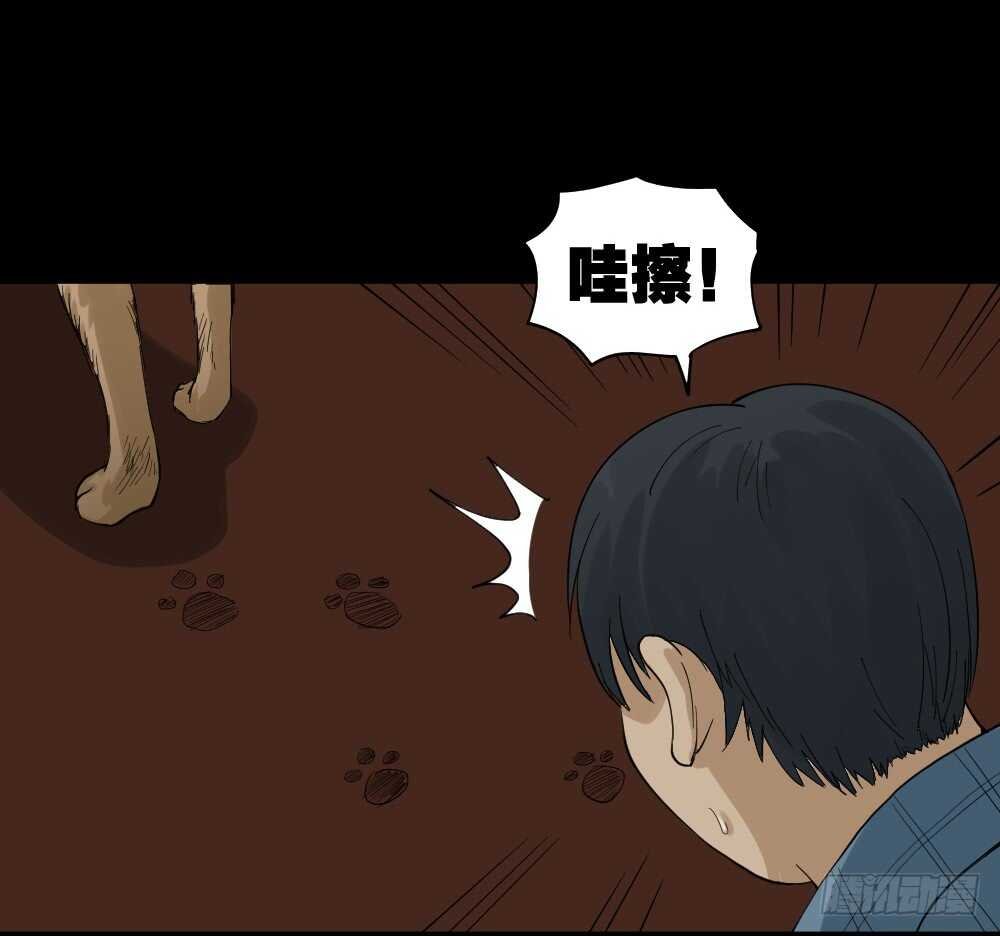 真实模样（2）