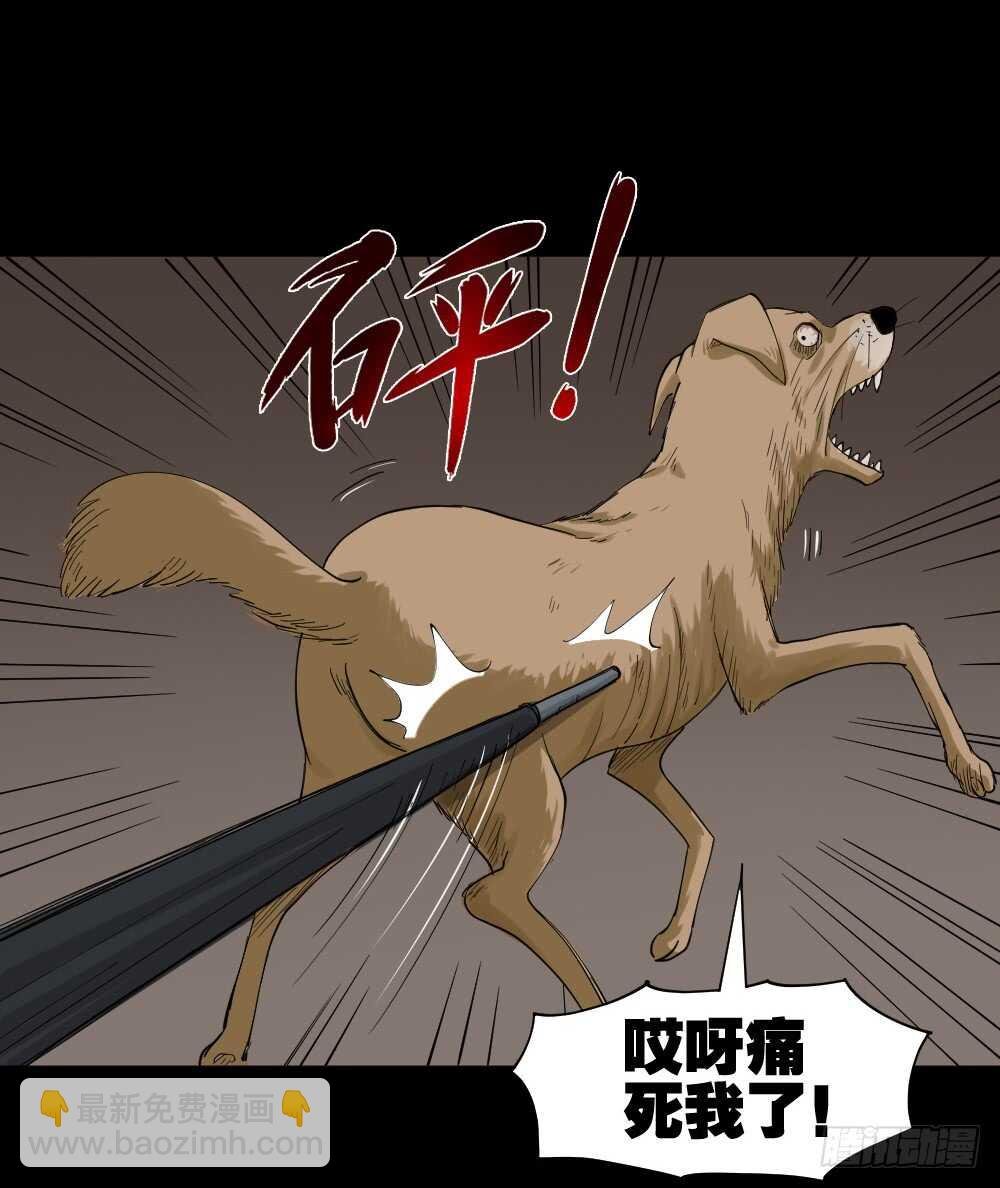 真实模样（2）