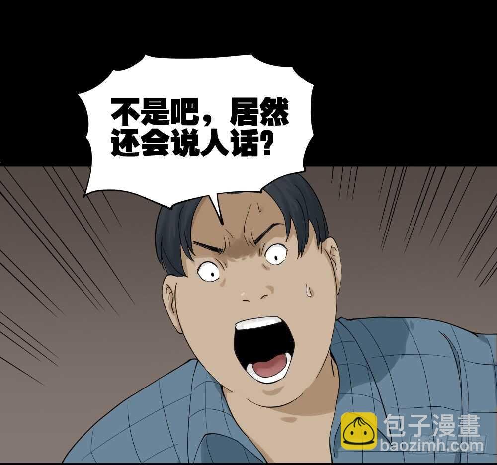 真实模样（2）