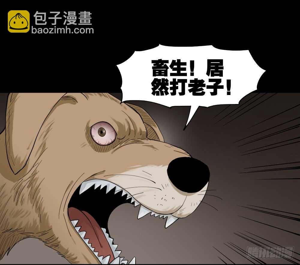 真实模样（2）