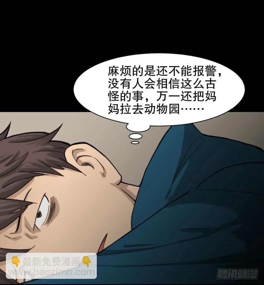 动物妈妈（2）