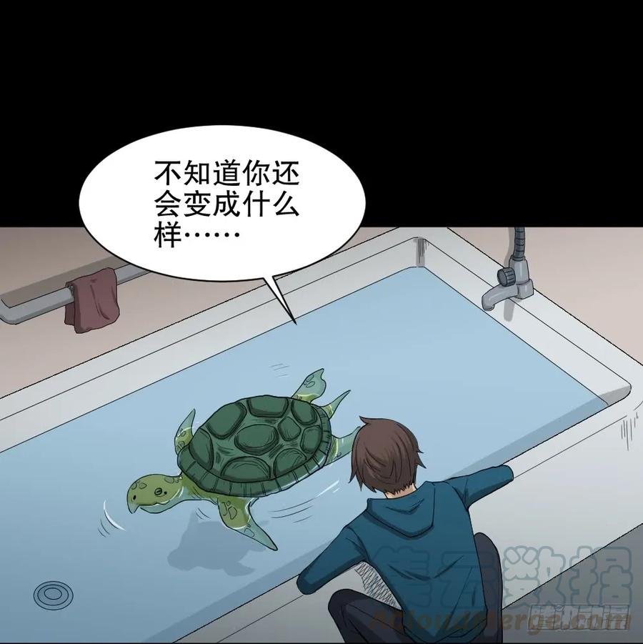 动物妈妈（2）
